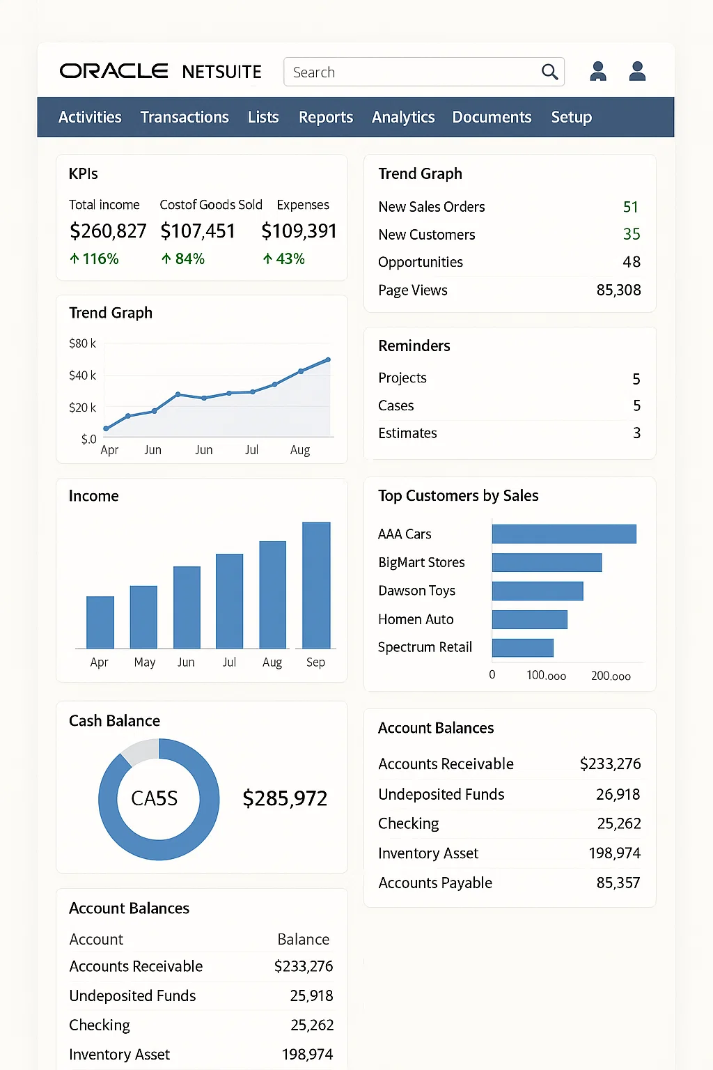 NetSuite Dashboard