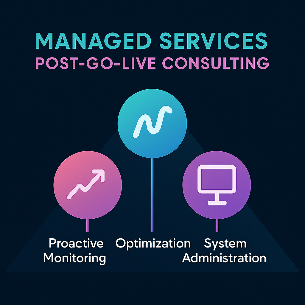 Managed Services Post-Go-Live Consulting - Proactive Monitoring, Optimization, System Administration